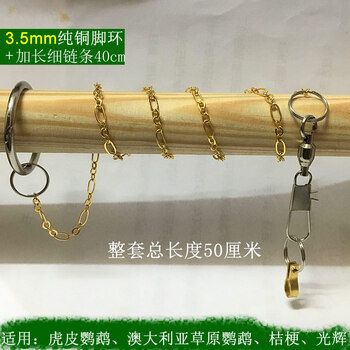 习对全面深刻准确把握四中全会精神再部署