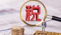 关键是——”她顿了顿