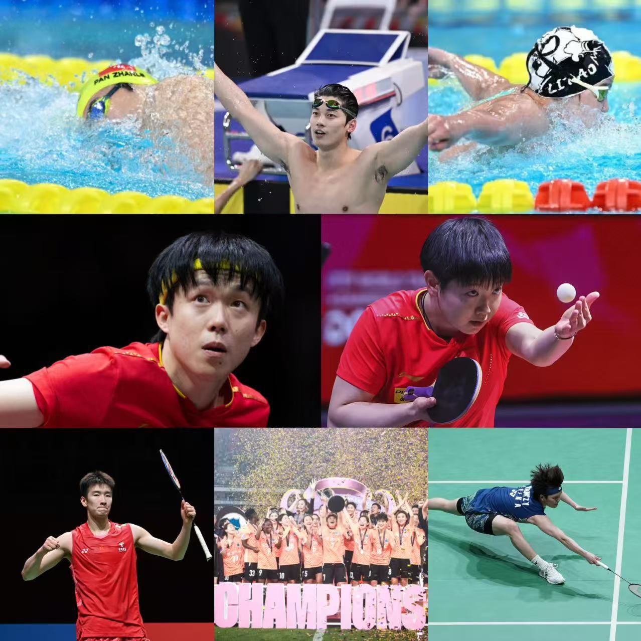 金牌雨再度来袭：上个周末多项赛事齐爆发，国